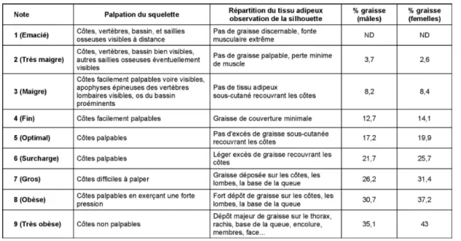 Tableau  3 :  Echelle  à  9  points  et  correspondance  en  masse  graisseuse  chez  le  chien  (LAFLAMME  1997)