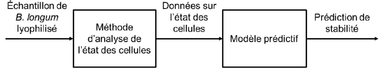 Figure 1: Diagramme illustrant la structure générale de la méthode à développer 