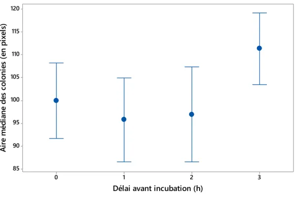 Figure 17: Relation entre le délai avant incubation et l’aire médiane des colonies formées 