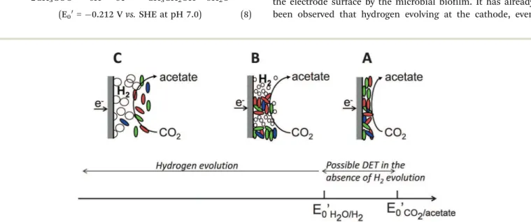 Fig. 10 Scheme of different potential zones relating to the conversion of CO 2 to acetate vs
