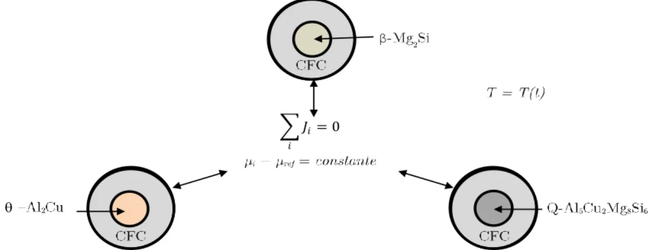Figure 39 : Schéma de la mise en donnée pour la simulation de la dissolution des phases durant la mise  en solution 