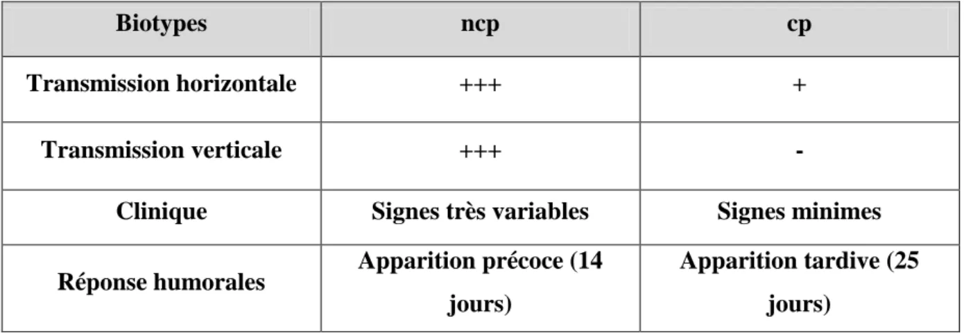 Tableau 1 : Caractéristiques des biotypes cp et ncp (Meyer, 2015) 