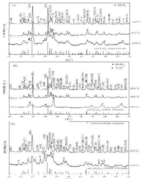 Figure 4. SEM micrographs of CuMoO 4  powders obtained from different precursors: (a) P Gly , (b) P PAA , (c)  P CAS1 , (d) P CAS4  and (e) P CAS7 