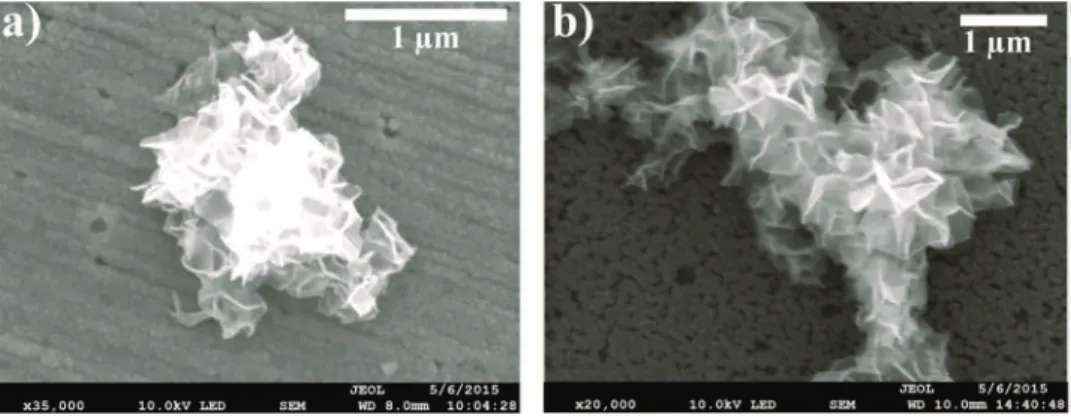 Fig. 2. SEM pictures of iron electrodeposits formed after a cathodic cycle by voltamperometry (starting at 0.2 V/SCE, reversed at -1.3 V/SCE, stopped at -0.8 V/SCE) using Mohr’s salt solution for the gold electrode a) and for the VC2 electrode b) respectiv