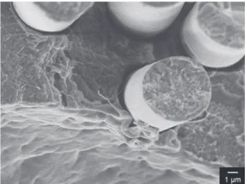 Figure 3. Freeze fracture of the epoxy-sized CF composite.