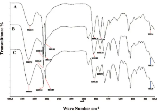 Fig. 2. FT-IR spectra of (A) [M-E-C 13 -Im] I, (B) [M-E-C 15 -Im] I and (C) [M-E-C 17 -Im] I.