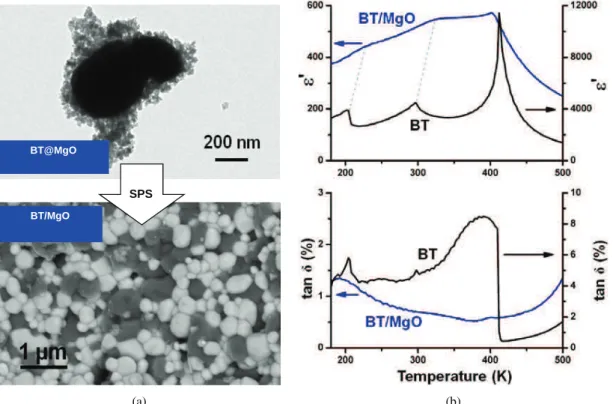 Fig. 4. (a) TEM image of BT@MgO nanoparticles processed by thermolysis and corresponding sintered nanostructured ceramic by SPS (SEM image in back scattering electron mode: MgO and BT appear in black and white, respectively)