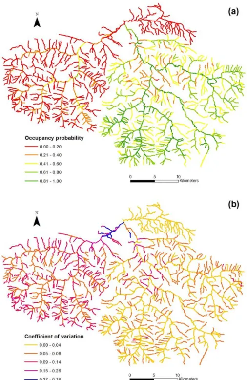 Fig. 5. Maps of (a) the average predicted occupancy probability of the Pyrenean desman in the upper Salat river catchment across the 131 iterations and (b) the prediction variability (i.e