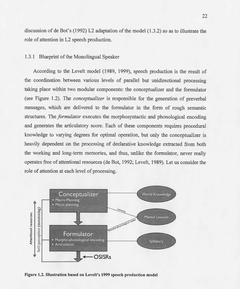 Figure 1.2.  Illustration  based on  Levelt's 1999 speech production  model 