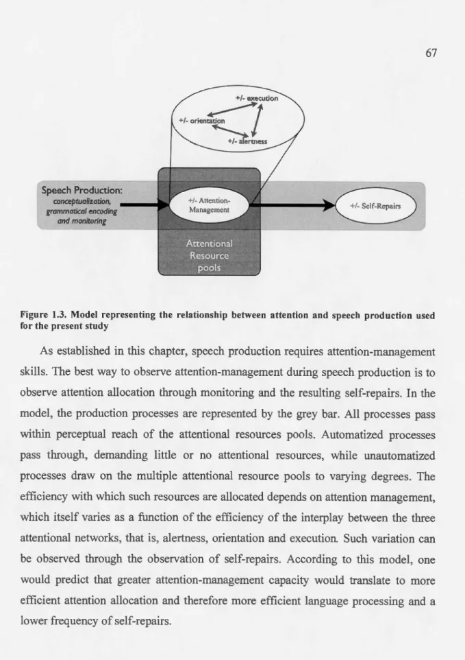 Figure  1.3- Model  representing  the  relationship  between  attention  and  speech  production  used  for  the present study 