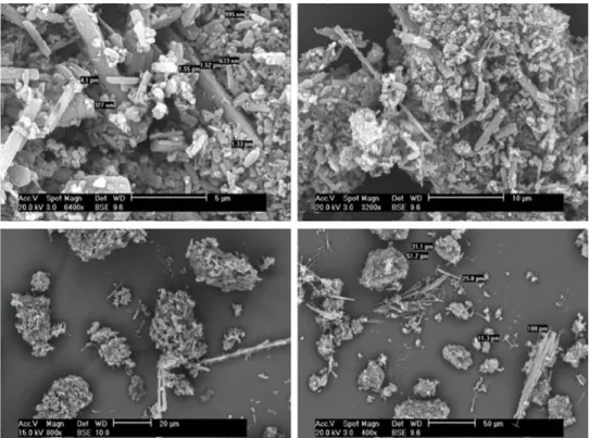 Fig. 10.  SEM micrographs of a mannitol cryomilled samples. 