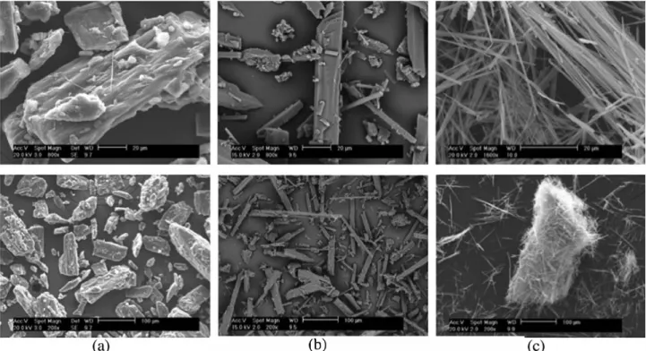 Fig. 3.  SEM micrographs  of (a)  commercial powder Pearlitol160C, (b) pure  /J  mannitol  and (c) pure a mannitol