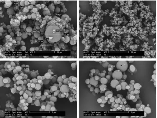 Fig. 6. SEM micrographs of commercial powder P.160C after spray drying.
