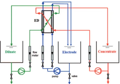 Fig. 2 shows a simultaneous increase of both salt (a) and water (b) quantities transferred versus time from the diluate to the  concen-trate compartment