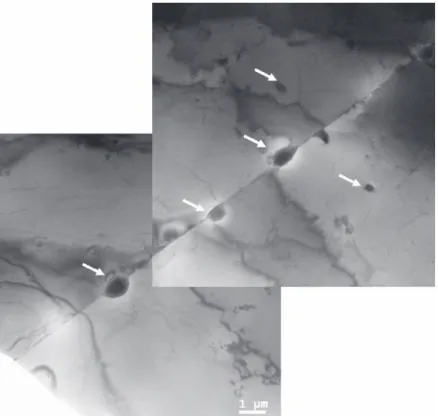 Fig. 3.14 TEM image of A600-DTS-IIC. The white arrows indicate some of the observed chromium carbide precipitates.