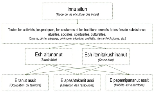 Figure 3 : Les types de savoirs liés aux différentes caractéristiques de l’Innu aitunInnu aitun
