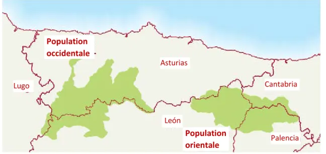 Figure 7 : Répartition géographique des deux sous-populations d'ours bruns cantabriques