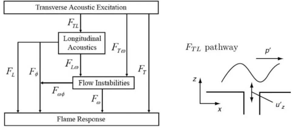 Figure 1.17: Left: Pathways of coupling between transverse oscillations and flame [213]