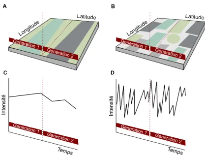 Figure I 1. Décomposition de la variation environnementale.   