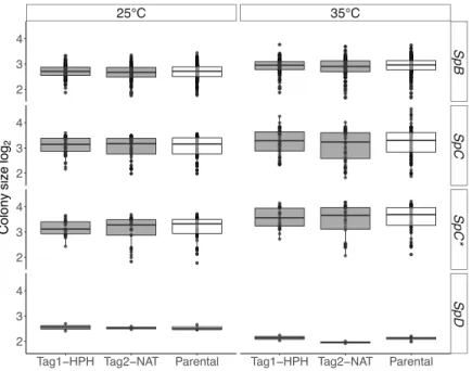 Figure  2-4.  Barcoded  strains  show  growth  similar  to  that  of  parental  strains  on  solid  medium