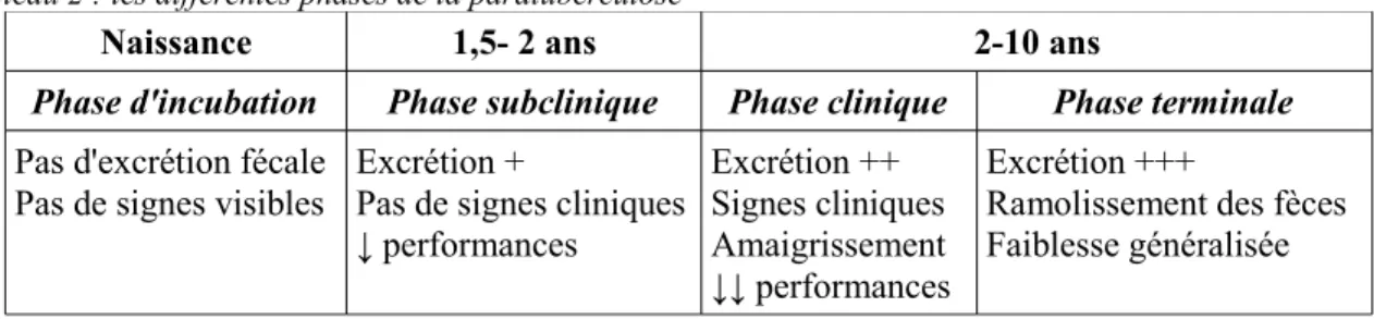 Tableau 2 : les différentes phases de la paratuberculose