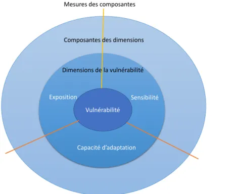 Figure  2.4. Vulnerability  scoping diagram (VSD): forme  généralisée  avec  l’unité de risque et  d’exposition non spécifiée (traduction  libre à partir de Polsky et al., (2007)
