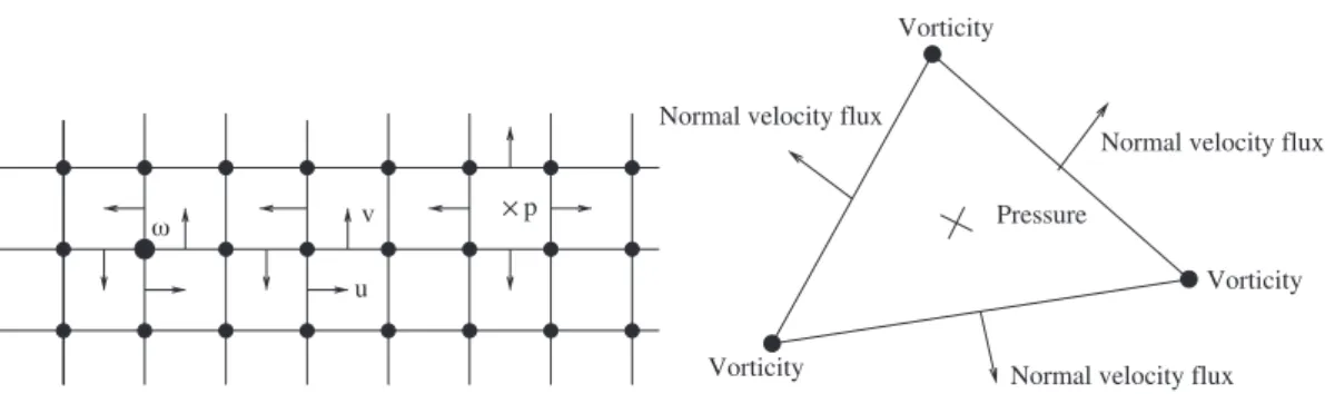 Fig. 1. Left panel: HAWAY discretization on a cartesian mesh. Right panel: Degrees of freedom on a triangular mesh.