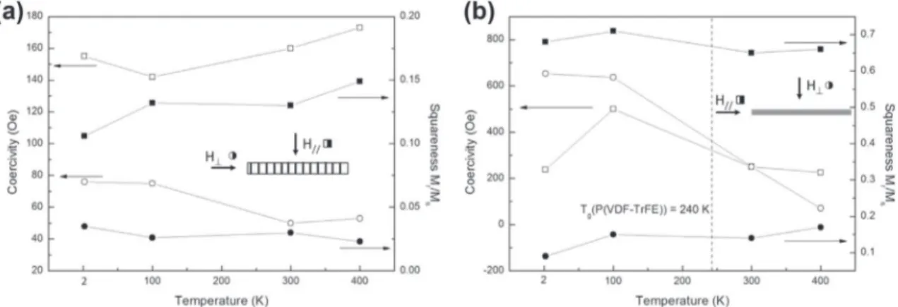 Fig. 8. Comparison of P(VDFeTrFE)/Ni NWs 0.3 vol% magnetoelectric coefﬁcient with other composites from the literature [8,9,38e43] with NZCF: Ni 0,3 Zn 0,62 Cu 0,08 Fe 2 O 4 ; PFNO: Pb(Fe 0,5 Nb 0,5 )O 3 ; TeD: Terfenol-D; PZT: Pb(Zr x ,Ti 1 x )O 3 ; CFO: 