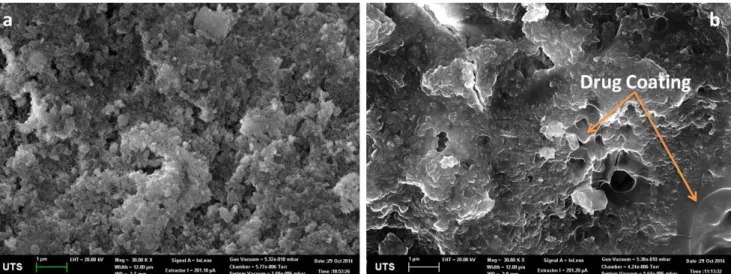 Figure 1. (a) Hydrothermal converted coralline HAp; (b) Gentamicin coated coralline HAp