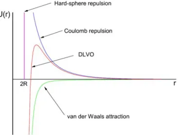 Fig. 1.8 – Illustration of the DLVO potential and all its components (Lucio, 2007) 