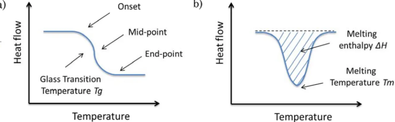 Fig. 2.13 – Schematic DSC curves; a) Determination of glass transition temperature Tg, b)  Determination of melting temperature Tm