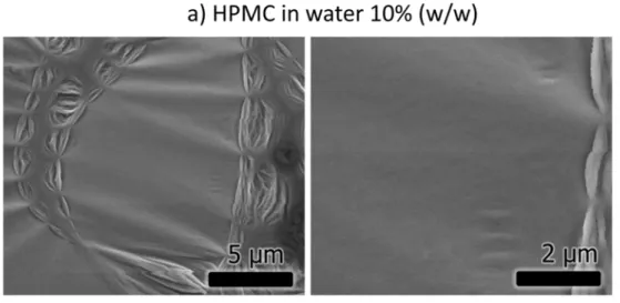 Fig. 3.11 – SEM micrographs of HPMC-SA in water (10%-10% (w/w)). HPMC: Hydroxypropyl- Hydroxypropyl-methylcellulose, SA: Stearic acid