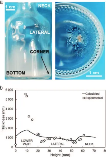 Fig. 4 shows cross-section SEM micrographs of the ﬁlm for two dif- dif-ferent regions of the bottle