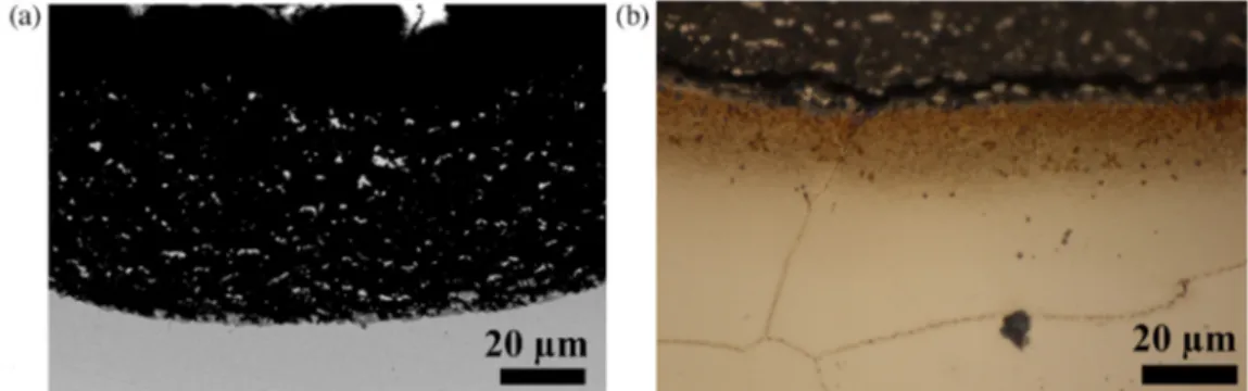 Fig. 9. (a) BSE SEM and (b) optical (after etching) cross section pictures of the bottom of a pit of sample #1 after 1987 h of exposure in H 2 –CO–CO 2 –CH 4 –H 2 O at 570 ◦ C, 21 bar.