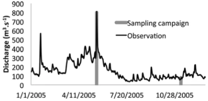 Fig. 3. Discharge variations of the Garonne River at station G5 during 2005. SPM and TM sampling campaigns are indicated by the grey line.