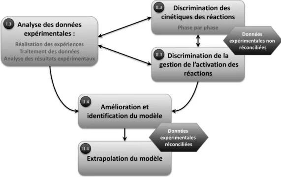 Figure I.1 : Démarche de construction du modèle stœchio-cinétique du comportement de Sa