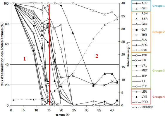 Figure   .1.9 : Evolution des taux d'assimilation de chaque acides aminés du MSS, d'après Strub (2008)  (2 g/L d'extrait de levure, 15 g/L de glucose et 20 mM d’uracile, conditions standards) 