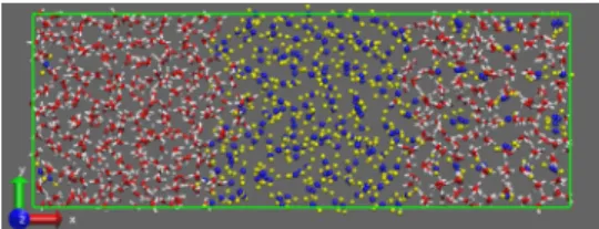 FIG. 2. Snapshot of the initial configuration formed by a slab of liquid CO 2