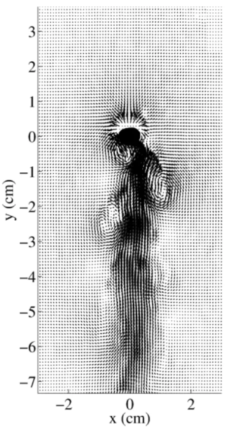 Figure 1.19 – Champ de vitesses, vorticité et critère Γ 1 de détection des tourbillons