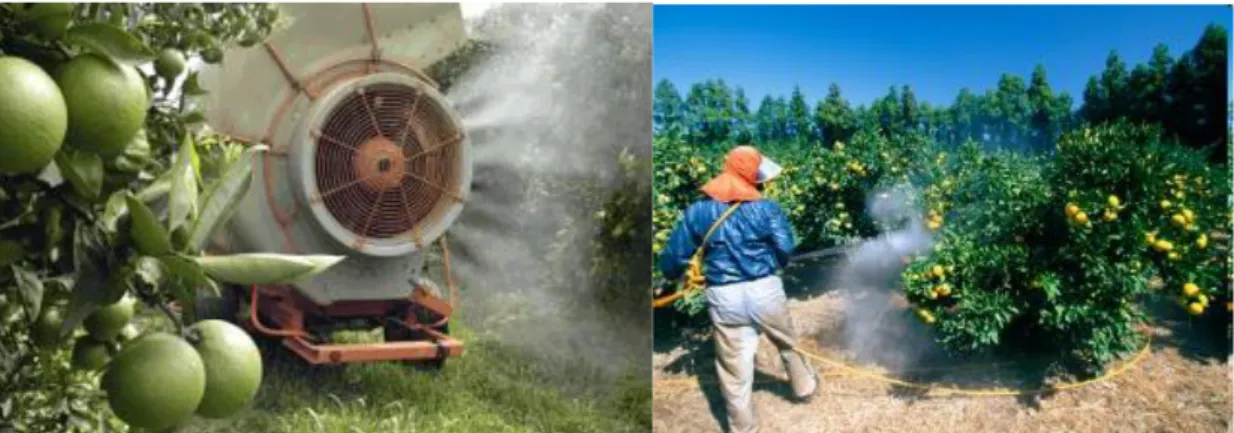 FIGURE 2-5 EXAMPLES OF APPLICATION OF AGROCHEMICALS IN AN ORANGE ORCHARD SETTING (EXTRACTED 06/2015 FROM SOURCE:  HTTP://NATURALLYBUBBLY.COM/WP-CONTENT/UPLOADS/ORANGESPRAYING-300X199.PNG) 