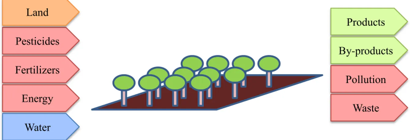 FIGURE 2-6 ILLUSTRATION OF THE INPUT AND OUTPUT FLOW IN A FRUIT ORCHARD 