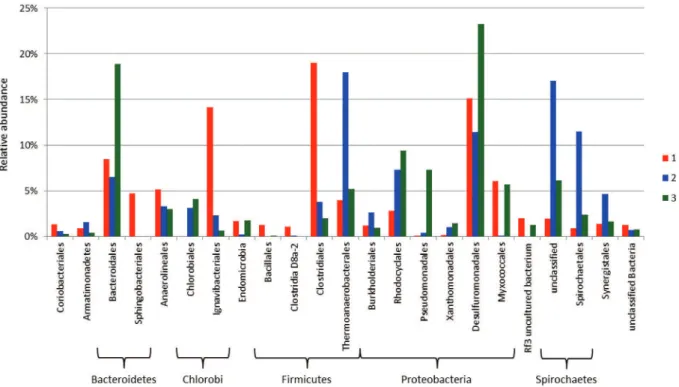 Fig. 4. Relative abundance of bacterial orders found on electrodes 1 (red), 2 (blue) and 3 (green)