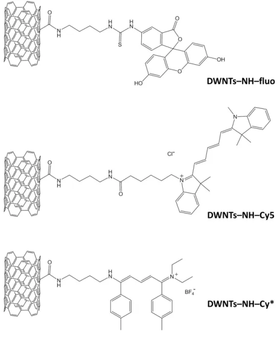 Figure 4.8 : DWNTs fonctionnalisés par les différents fluorophores : DWNTs–NH–fluo, DWNTs–NH–Cy5 et  DWNTs–NH–Cy*