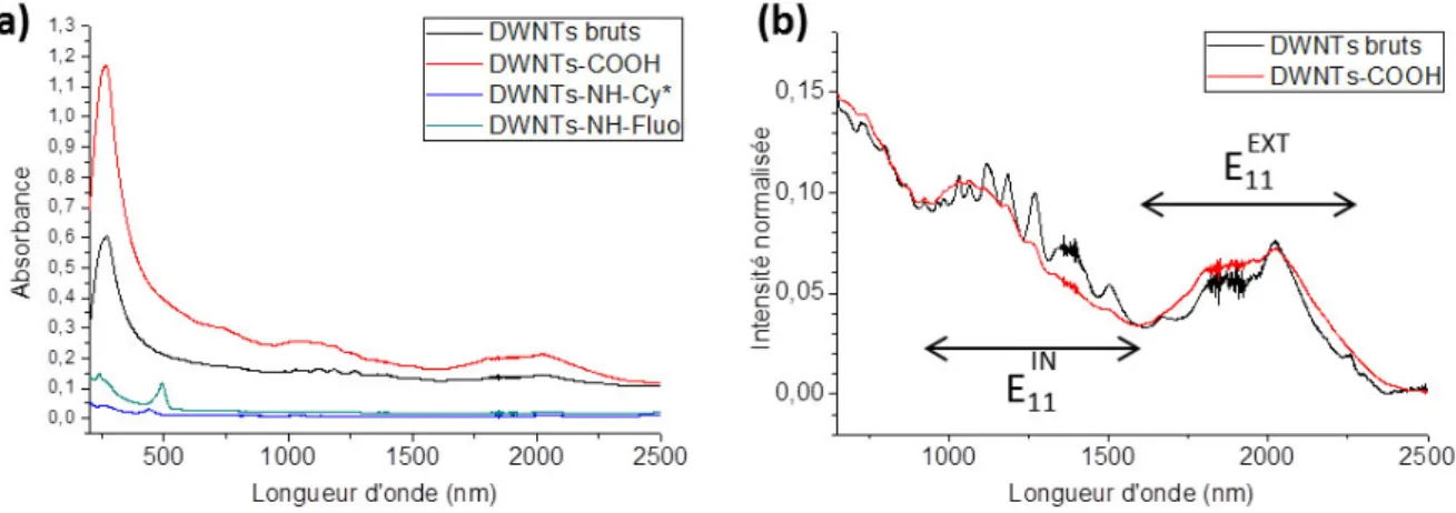 Figure 4.17 : Graphiques représentant en (a) les spectres entiers des DWNTs bruts, DWNTs–COOH, DWNTs–NH– Fluo et DWNTs–NH–Cy*, et en (b) un zoom sur les bandes d’absorption des DWNTs bruts et DWNTs–COOH