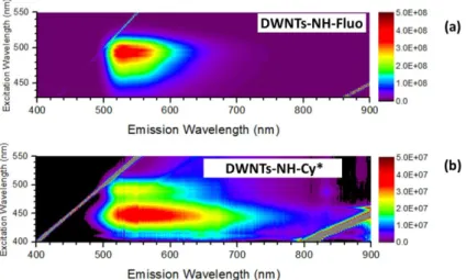 Figure 4.20 : Grossissement des cartes d’excitation de la photoluminescence des (a) DWNTs–NH–Fluo et (b)  DWNTs–NH–Cy*