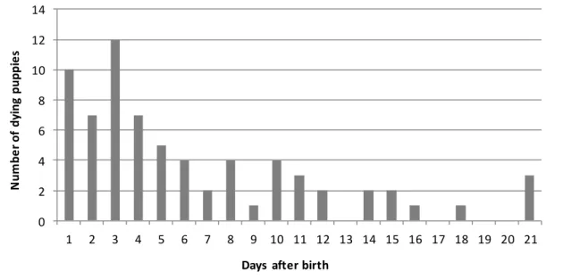 Figure 2. Distribution of the deaths during the neonatal period (n = 70). 
