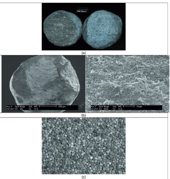 Table 2. Proximate and Ultimate Analysis of the Carbonaceous Particles