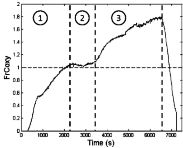 Table 4 presents the mean gas fractions of O 2 , CO 2 , CO, H 2 , and CH 4 at the exhaust