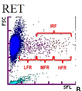 Figure 2 : Graphique classique représentant un  cas d’anémie régénérative chez le chien 