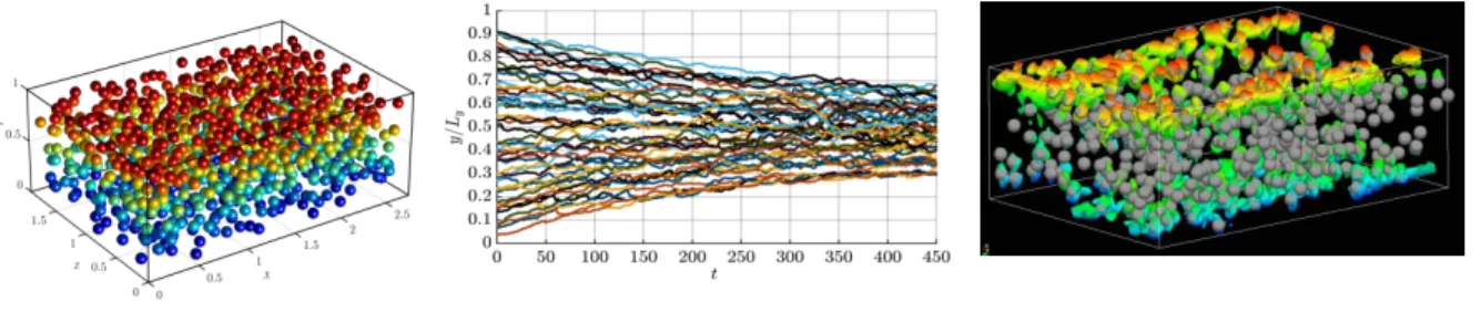 Figure 1: Simulations of plane Couette flow seeded with finite size particles.  (From left to right: Particle positions, Particle trajectories in laminar flow, Flow structures) 